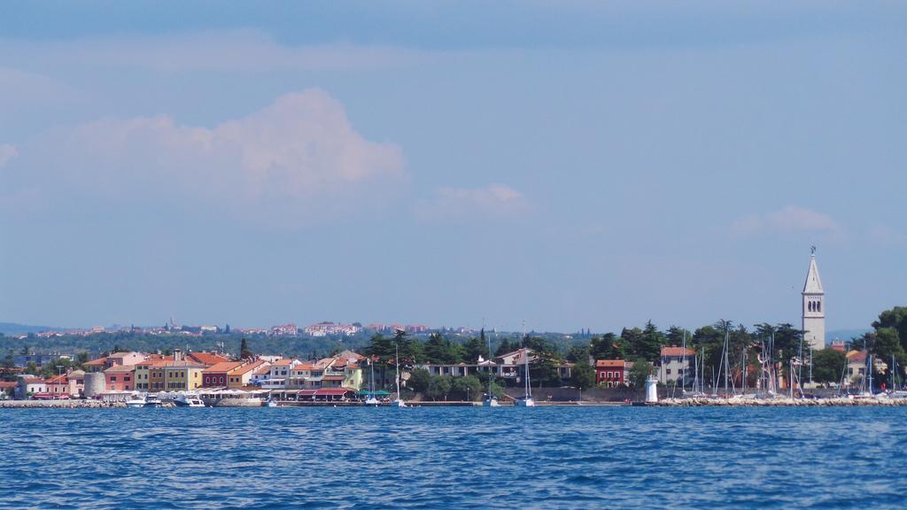 Apartments Henc Novigrad  Exterior photo