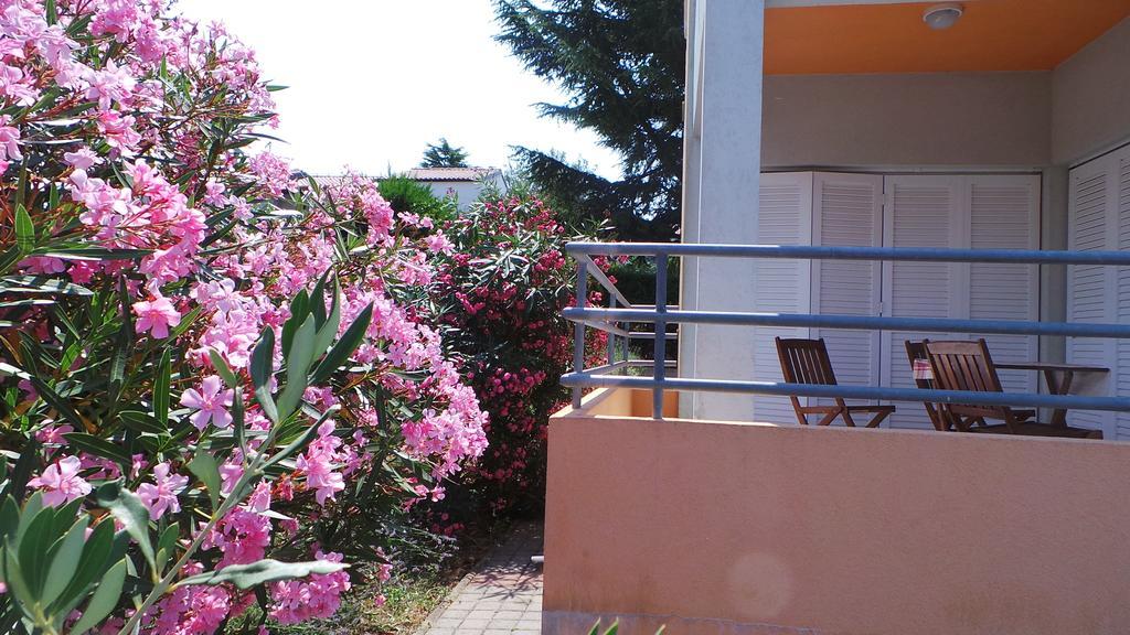 Apartments Henc Novigrad  Room photo