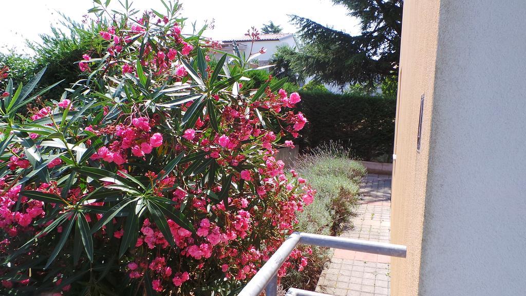 Apartments Henc Novigrad  Exterior photo