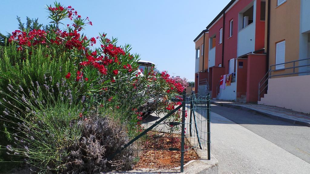 Apartments Henc Novigrad  Exterior photo